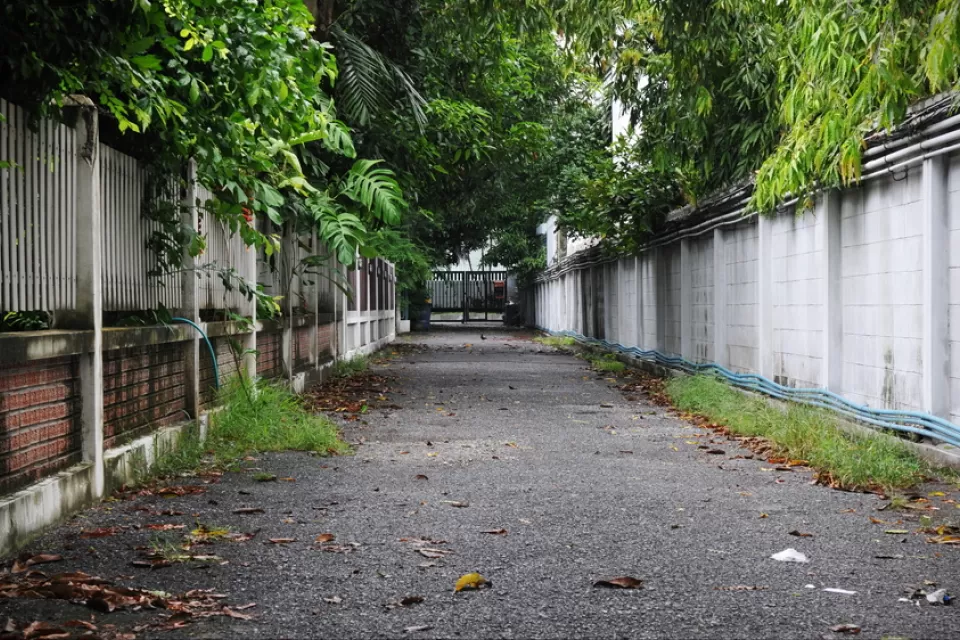 Suburban Alley